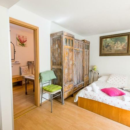 Beautiful Rustical Apt Ana In The Heart Of Ρόβινι Εξωτερικό φωτογραφία